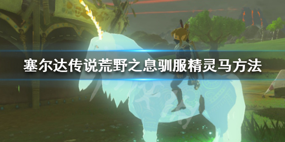 塞尔达传说荒野之息怎么驯服精灵马（塞尔达传说怎么捕捉精灵马）