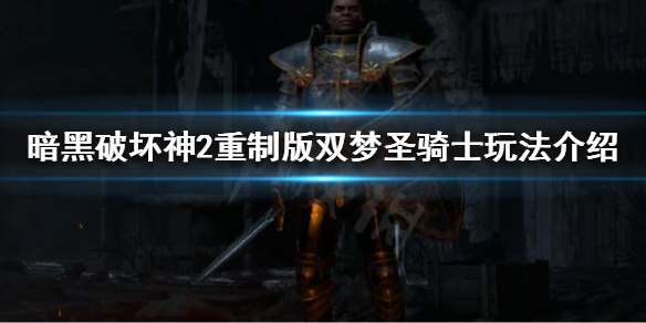 暗黑破坏神2重制版双梦圣骑士怎么玩（暗黑破坏神2重制版双梦圣骑士怎么玩视频）