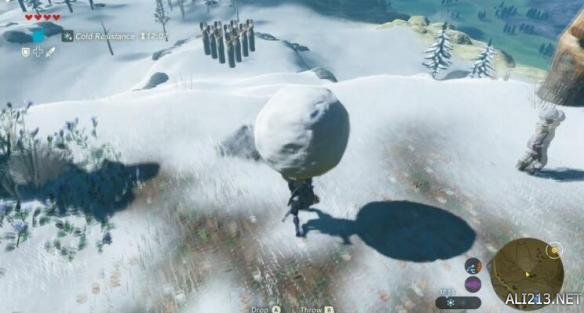 塞尔达传说荒野之息初期快速挣钱方法 初期怎么刷钱快？ 方法一：做厨师，卖料理