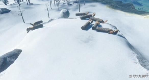 塞尔达传说荒野之息初期快速挣钱方法 初期怎么刷钱快？ 方法一：做厨师，卖料理