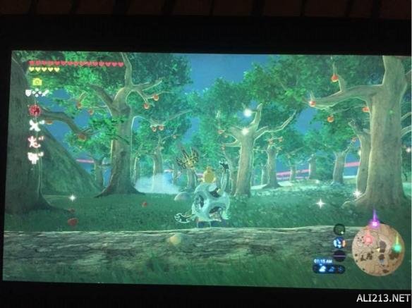 塞尔达传说荒野之息刷苹果地点图文分享 苹果在哪刷？