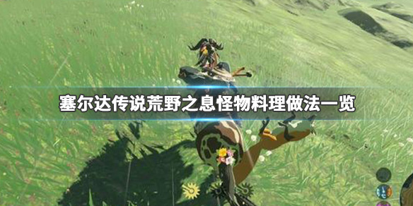 塞尔达传说荒野之息怪物料理怎么做 塞尔达怪物料理什么用