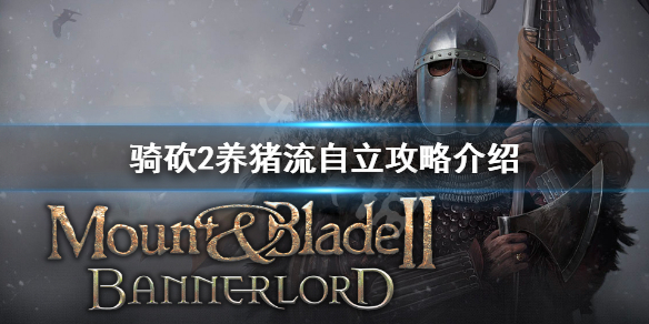 骑马与砍杀2养猪流怎么自立 骑马与砍杀2猪羊有什么用