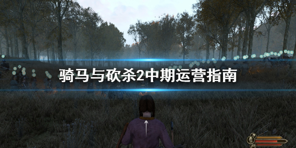 骑马与砍杀2中期怎么玩（骑马与砍杀2玩法思路）