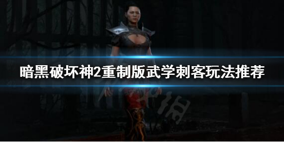 暗黑破坏神2重制版武学刺客怎么玩 暗黑破坏神2武学刺客加点和技能加点