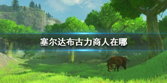 塞尔达布古力商人在哪（塞尔达布拓任务）