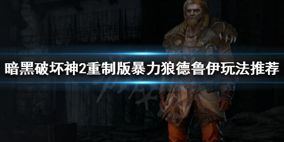 暗黑破坏神2重制版德鲁伊新手怎么玩 暗黑破坏神2 德鲁伊玩法