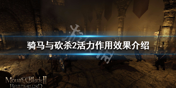 骑马与砍杀2活力属性有什么用（骑马与砍杀2活力属性有什么用啊）