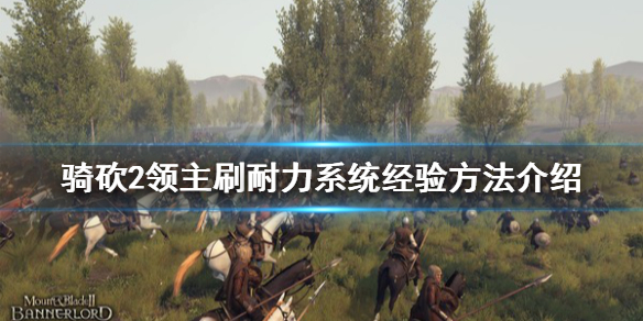 骑马与砍杀2耐力有什么用 骑马与砍杀2耐力高的npc