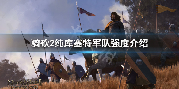 骑马与砍杀2库塞特部队怎么样（骑马与砍杀2库赛特骑兵）