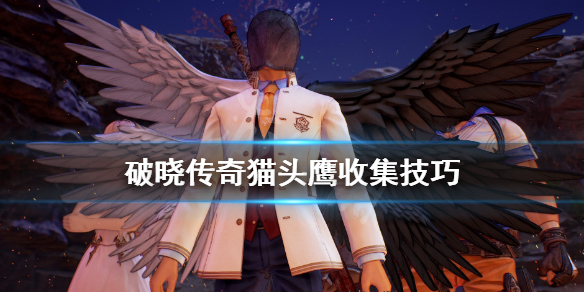 破晓传说猫头鹰怎么找（破晓传说找到猫头鹰）