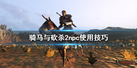 骑马与砍杀2npc怎么使用 骑马与砍杀2npc使用攻城