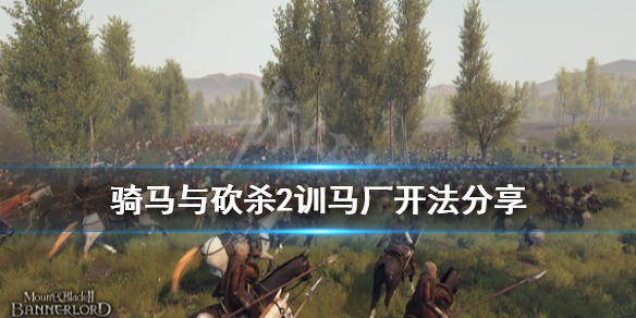 骑马与砍杀2有什么隐藏工厂（骑马与砍杀2隐藏npc）