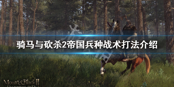 骑马与砍杀2帝国兵种详解 骑马与砍杀2帝国兵种推荐