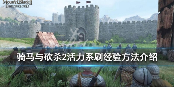 骑马与砍杀2活力技能怎么刷经验 骑砍二活力和控制