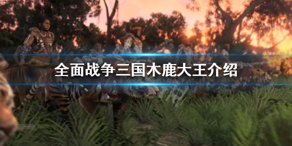 全面战争三国木鹿大王好用吗（全面战争三国木鹿大王好用吗知乎）