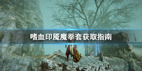 嗜血印魇魔拳套去哪拿
