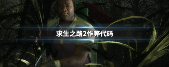 求生之路2作弊代码（求生之路2作弊代码可以本地联机吗）
