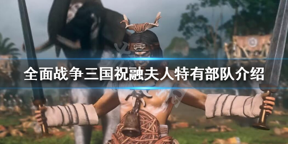 全面战争三国祝融夫人怎么样