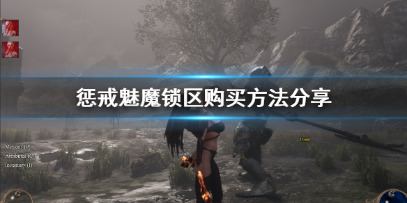 惩戒魅魔锁区怎么买（惩戒魅魔解锁的装备在哪能买到）