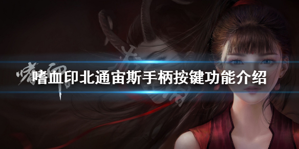 嗜血印手柄按键有哪些（嗜血印ps4手柄）