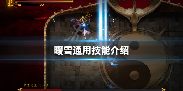 暖雪通用技能是什么（暖雪官网）