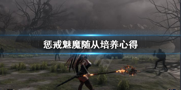 惩戒魅魔随从怎么培养 惩戒魅魔随从怎么培养技能