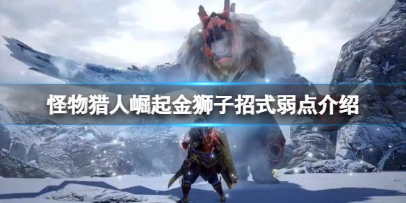 怪物猎人崛起金狮子怎么打（怪物猎人崛起金狮子怎么打）