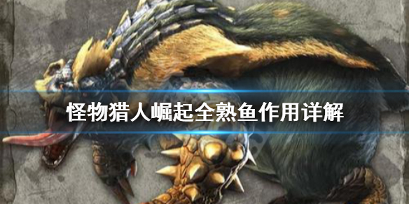 怪物猎人崛起全熟鱼有什么用（崛起 全熟鱼）