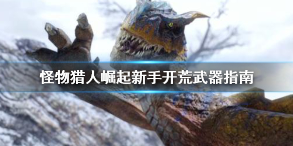 怪物猎人崛起新手开荒武器怎么选（怪物猎人崛起开荒推荐）