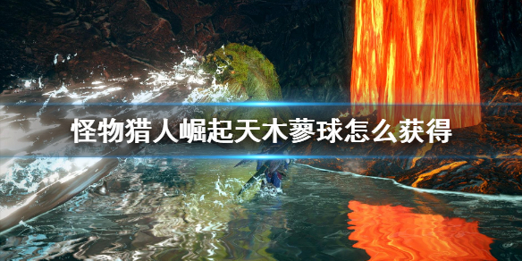 怪物猎人崛起天木蓼球怎么获得（怪物猎人rise 木天）