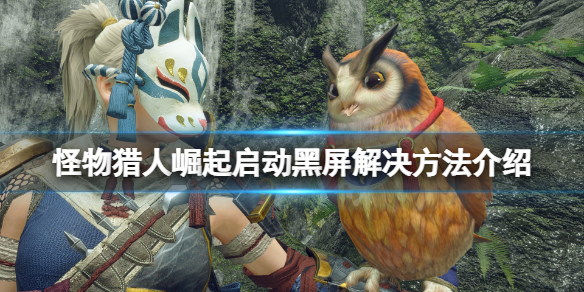 怪物猎人崛起黑屏怎么办 怪物猎人崛起pc画面