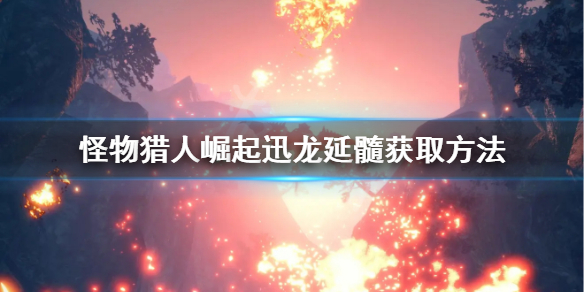 怪物猎人崛起迅龙延髓怎么获得 怪猎rise迅龙的延髓剥哪里