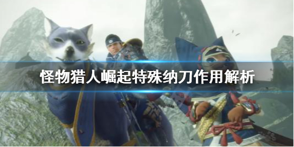 怪物猎人崛起特殊纳刀有什么用（怪物猎人崛起特殊纳刀按不出来）