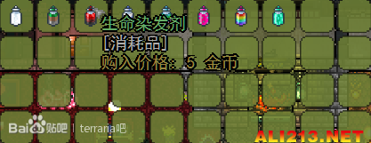 《泰拉瑞亚》理发师详细图文介绍
