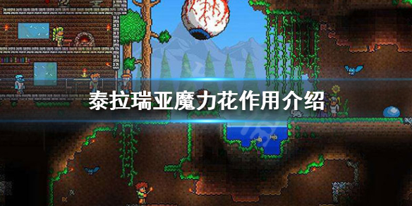 泰拉瑞亚魔力花有什么用（泰拉瑞亚魔力花合成什么比较好）