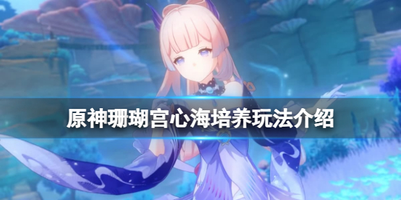 原神珊瑚宫心海怎么培养 原神珊瑚宫心海如何培养