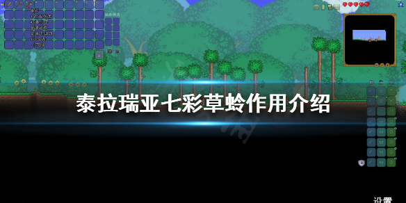 泰拉瑞亚七彩草蛉是什么（泰拉瑞亚七彩草蛉介绍）