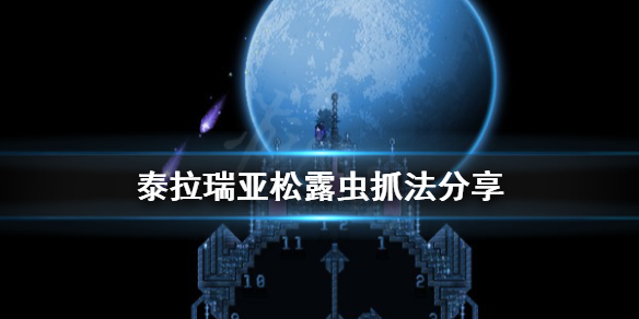 泰拉瑞亚松露虫怎么抓 泰拉瑞亚松露虫怎么抓不到