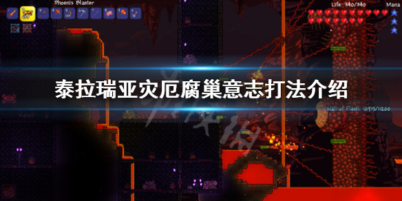泰拉瑞亚灾厄腐巢意志怎么打 泰拉瑞亚灾厄腐巢意志打完