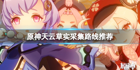 原神天云草实位置在哪 原神天云草实有卖的吗