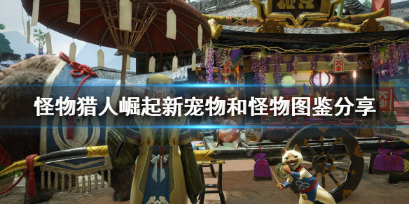 怪物猎人崛起宠物福木兔怎么样（怪物猎人崛起福木兔如何获得）