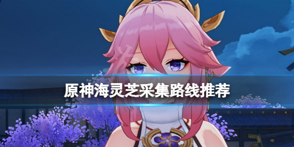 原神海灵芝怎么采集 原神海灵芝采集刷新时间
