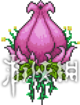 泰拉瑞亚最全新手入门教程 新手开荒流程攻略 第一天