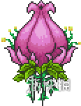 泰拉瑞亚全boss攻略详解（泰拉瑞亚boss顺序表）