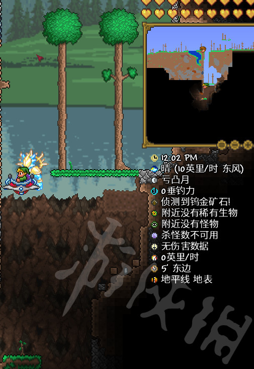 泰拉瑞亚植物怎么进行生长 泰拉瑞亚植物生长机制详解