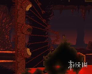 泰拉瑞亚1.4大师肉山怎么过 1.4大师肉山攻略技巧一览