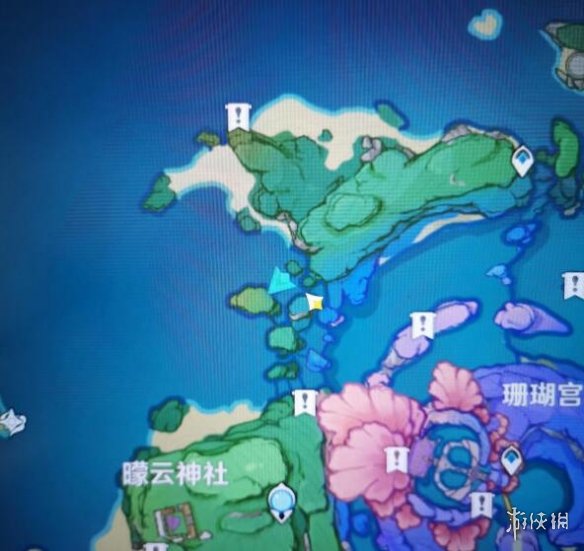 原神珊瑚宫雷灵解密心得分享 原神珊瑚宫雷灵怎么解密