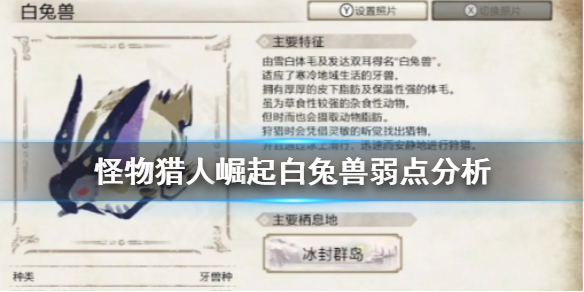 怪物猎人崛起白兔兽好打吗 怪物猎人崛起白兔兽血量