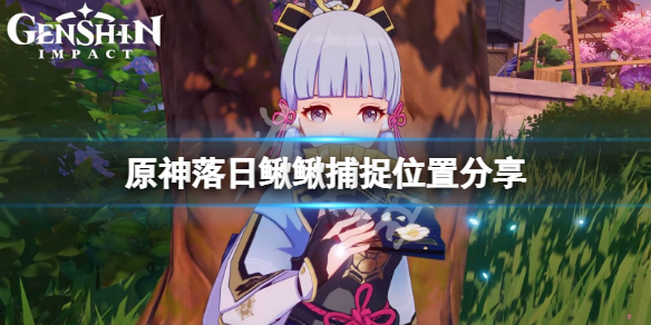 原神落日鳅鳅在哪抓（落日泥沼怎么去）